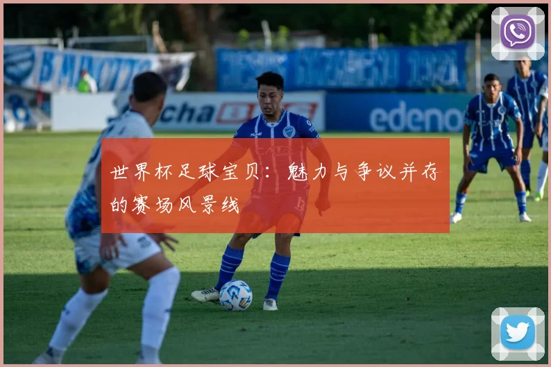 世界杯足球宝贝:魅力与争议并存的赛场风景线