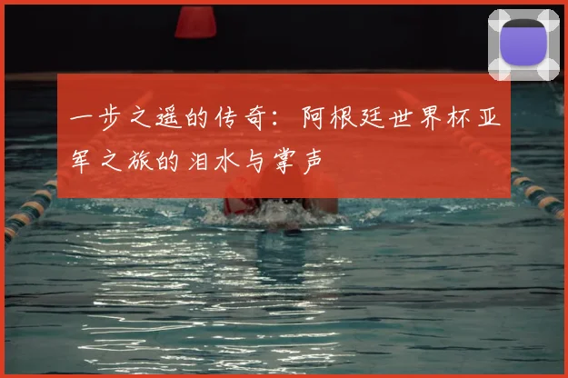 一步之遥的传奇:阿根廷世界杯亚军之旅的泪水与掌声