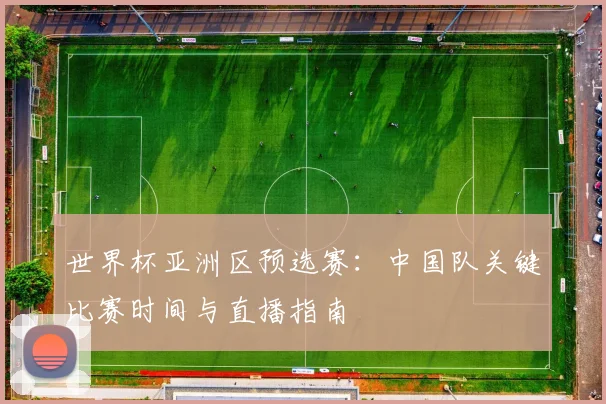 世界杯亚洲区预选赛：中国队关键比赛时间与直播指南