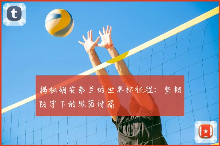 揭秘胡安弗兰的世界杯征程：坚韧防守下的绿茵诗篇