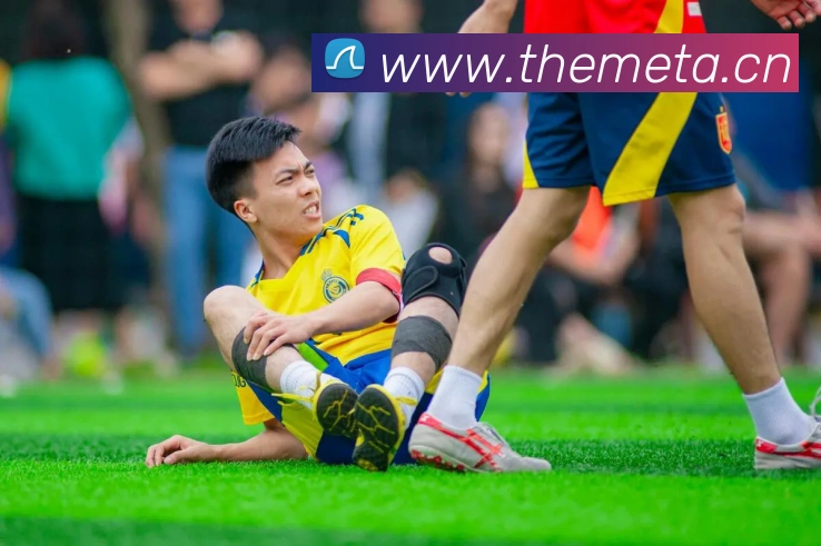 mksports官网登录平台生态图